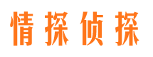 辛集市私家侦探公司